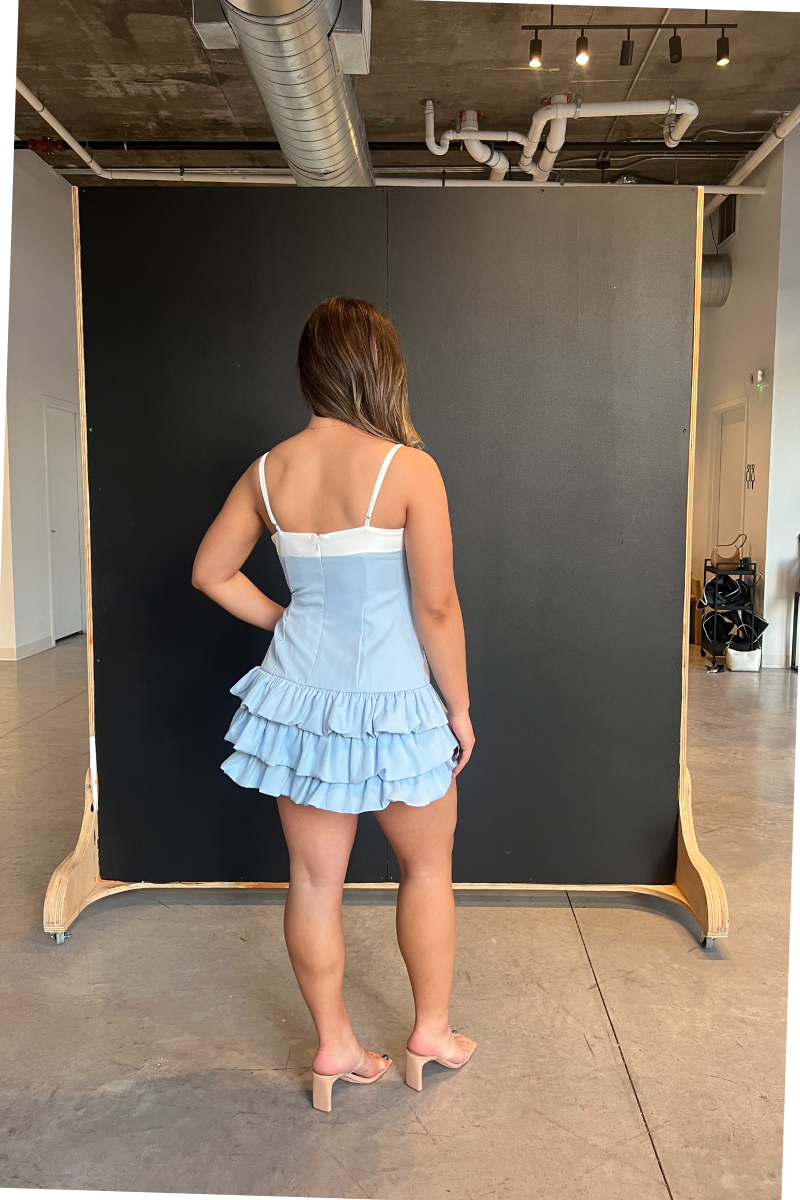 Carolina Mini Dress